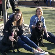 Photo of Schuylkill River Dog Run - Philadelphia, PA, United States. Worn out!!