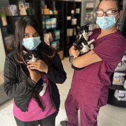 Nichols Veterinary Care - Larry, Moe, and Curly
