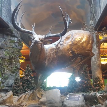 Bass Pro Shops - Boating Near Me - Springfield, Missouri