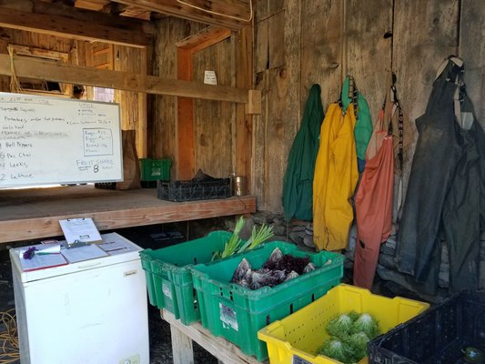 Rock Steady Farm by null