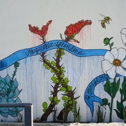 El Jardín de Tara