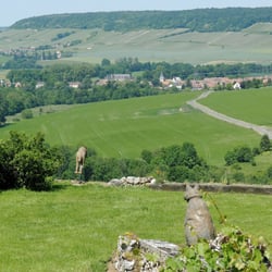 Panorama depuis Montigny les Condé