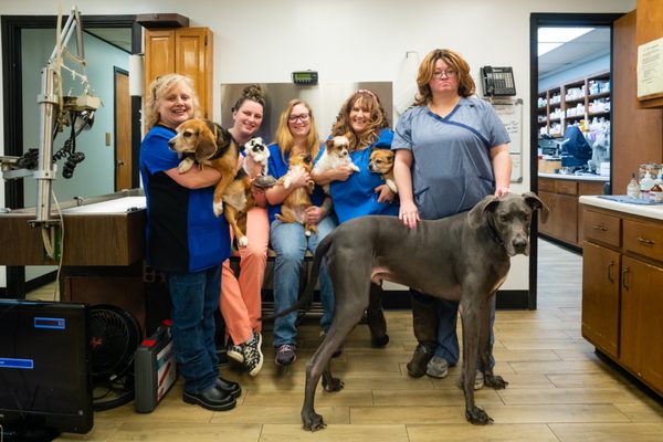 Millington Animal Hospital 4637 Navy Rd Millington Tn Veterinarians Mapquest