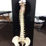 Photo of Aerotropolis Pain Relief Center