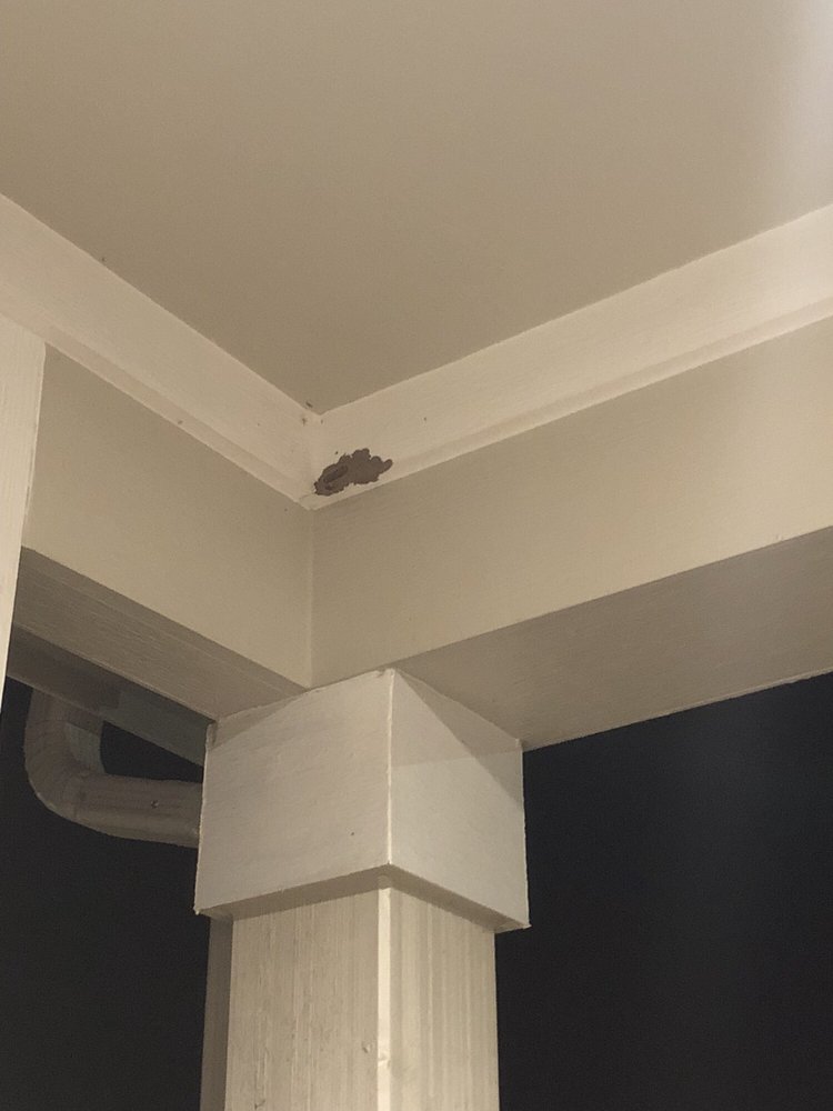 ENVIROGUARD PEST CONTROL 22 Photos & 198 Reviews Pest Control 555 Round Rock West Dr