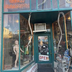 Woolly Mammoth Antiques, Oddities & Resale