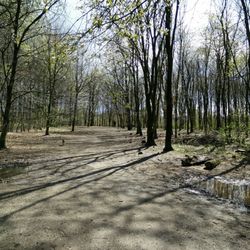 Hundeauslauf Höltigbaum