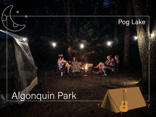 Algonquin Provincial Park by null