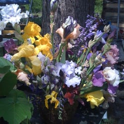 Exchange Place - Iris display at Spring Garden Fair