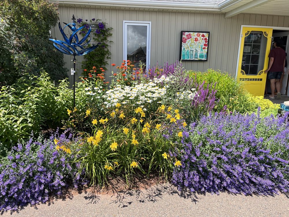 LES MAISONS DE BOUTEILLES THE BOTTLE HOUSES Updated May 2024 6891