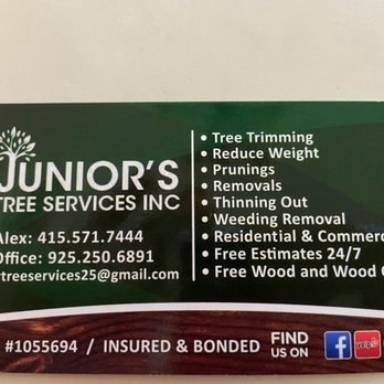 Juniors Tree Service Inc - Tree Services Near Me Juniors Tree Service Inc - Tree Services Near Me