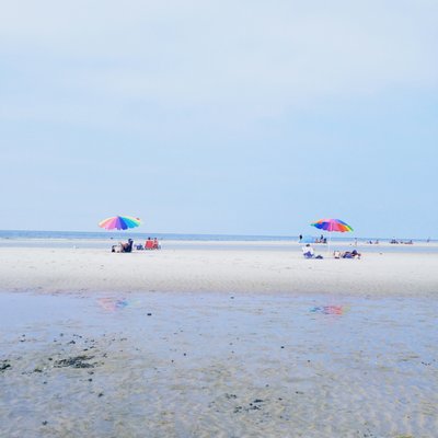 Chapin Memorial Beach by null