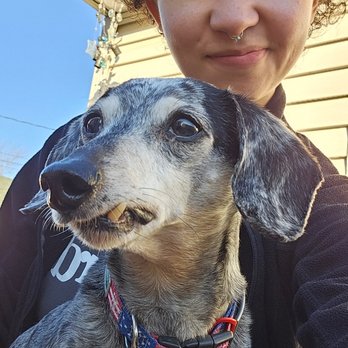Jada's Pet Sitting Service - Pet Sitting Near Me Jada's Pet Sitting Service - Pet Sitting Near Me