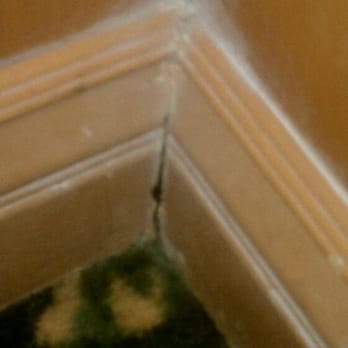 Foo Chow Restaurant - A roach crawling out of the corner wall. - Chinese Near Me - Los Angeles, California Foo Chow Restaurant - A roach crawling out of the corner wall. - Chinese Near Me - Los Angeles, California