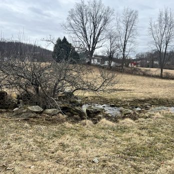 Baird Farm Maple Syrup - Another side of the farm view - Specialty Food Near Me - Chittenden, Vermont