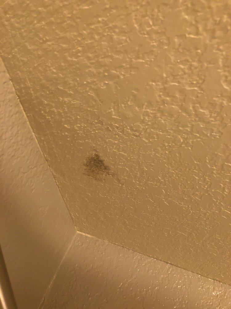 THE VILLAGES AT MEADOWOOD APARTMENTS Updated September 2024 17