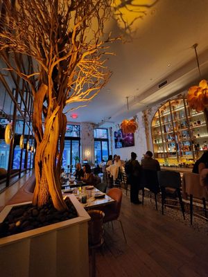 Reyna New York by null Reyna New York by null