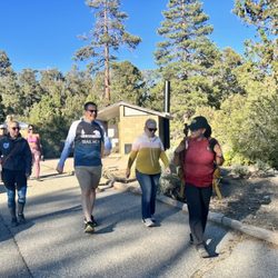 Big Bear Hiking Adventures - Shauna leads a group from the Cougar Crest trailhead