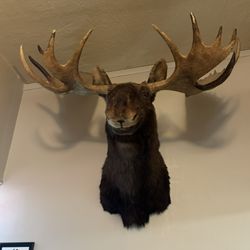 Apple Valley Moose Lodge No 1810
