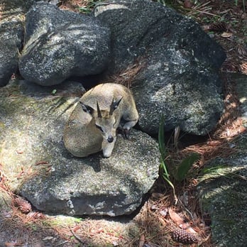 Brevard Zoo - Zoos Near Me - Melbourne, Florida