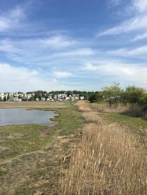 Belle Isle Marsh Reservation by null
