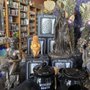 Photo of The Herb Store