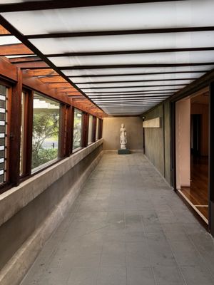 Hollyhock House by null