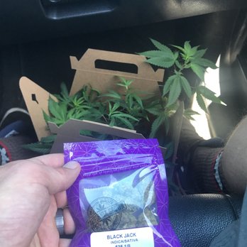 Organicann - Weed + 8 clones :-) - Cannabis Dispensaries Near Me - Santa Rosa, California Organicann - Weed + 8 clones :-) - Cannabis Dispensaries Near Me - Santa Rosa, California