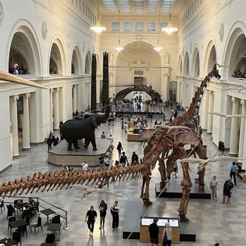 Field Museum - Museums Near Me - Chicago, Illinois