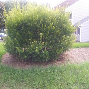 William Douglas Property Management - Property Management Near Me - Raleigh, North Carolina
