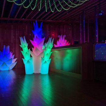 CuriOdyssey - Illuminodyssey exhibit - November 2021 - Zoos Near Me - San Mateo, California