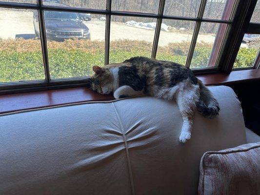 The Common Man Inn & Spa by null