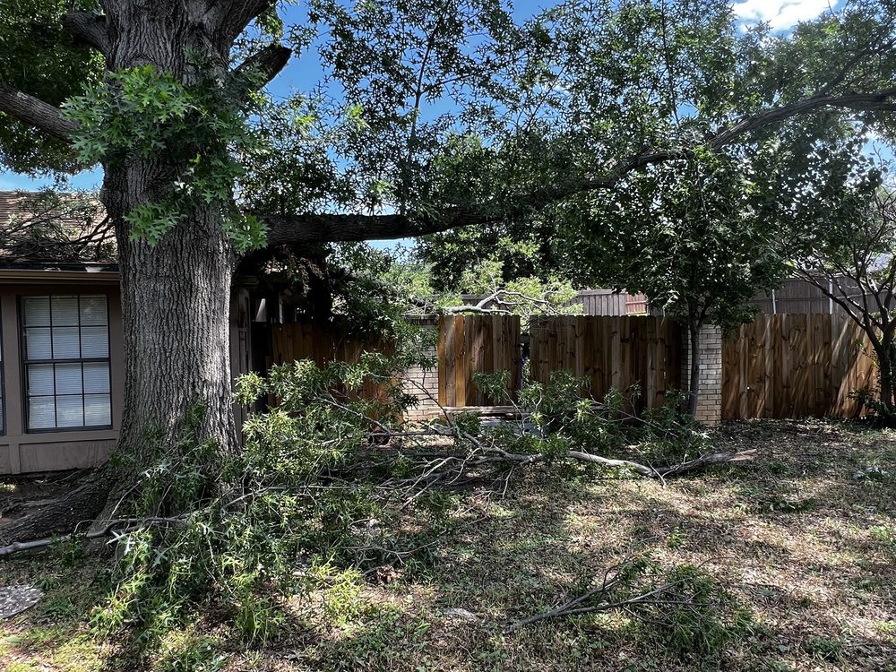 Twin Oak Solutions - tree service in Carrollton, TX