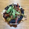 Trebol Mexican Restaurant gift card
