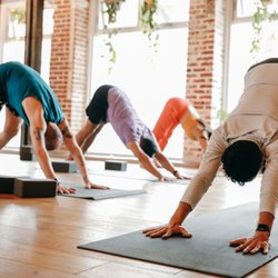 One Down Dog - Our FLOW class consists of all-level sequencing set to incredible playlists. Each teacher brings their own flavor to this class!