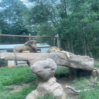Greenville Zoo - Zoos Near Me - Greenville, South Carolina