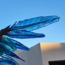 Newt Glass - The most amazing delicate appearing glass blown wings -forever displayed outdoors and amazing despite the weather