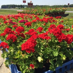 Blessing Farms