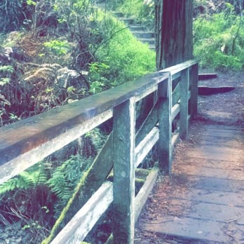 Steep Ravine Trail - Hiking Near Me