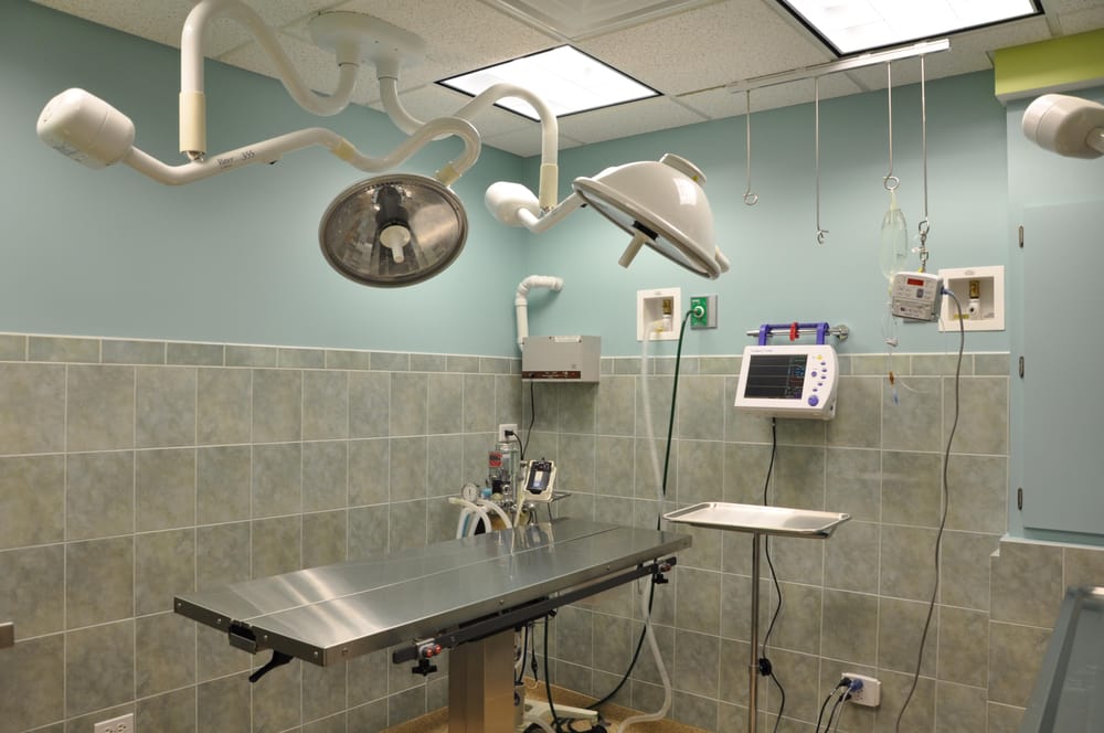 PULASKI ANIMAL HOSPITAL Updated September 2024 51 Photos & 88