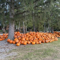 Bry-Anne Farms - Pumpkins in the parking lot