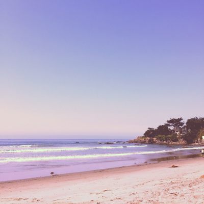 Broad Beach Rd by null