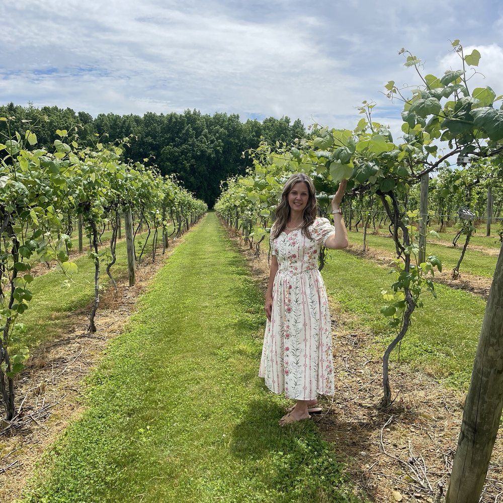Knox View Farm Winery - Wineries Near Me - Fredericktown, Ohio