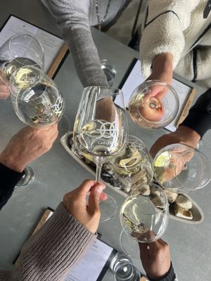 Caelesta Wines, Vineyard & Truffière by null