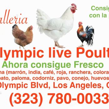 Olympic Live Poultry  - Butcher Near Me - Los Angeles, California