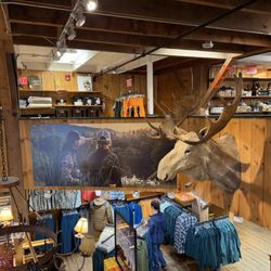Orvis
