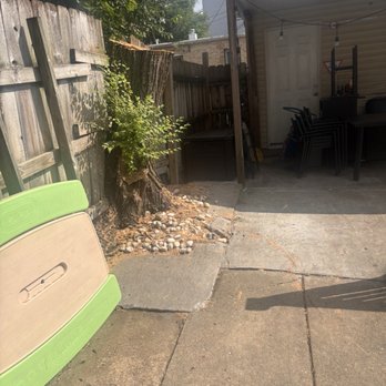 Adrian Landscape and Hardscape - After Adrian and his crew took care of the tree that fell across my property and almost  into my neighbor's - Landscaping Near Me
