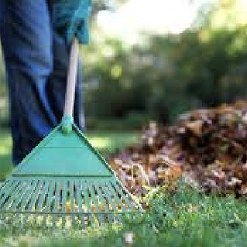TB Jones Handyman Services - Fall Lawn Clean Up - Handyman Near Me TB Jones Handyman Services - Fall Lawn Clean Up - Handyman Near Me