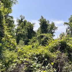 Christopher Morley Park
