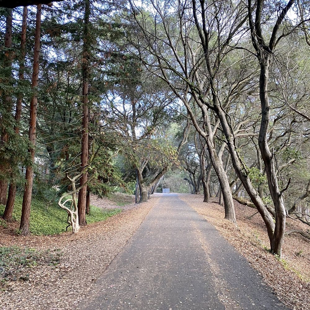 Shepherd Canyon Park - Parks Near Me - Oakland, California Shepherd Canyon Park - Parks Near Me - Oakland, California